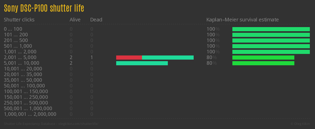 Sony DSC-P100 shutter life